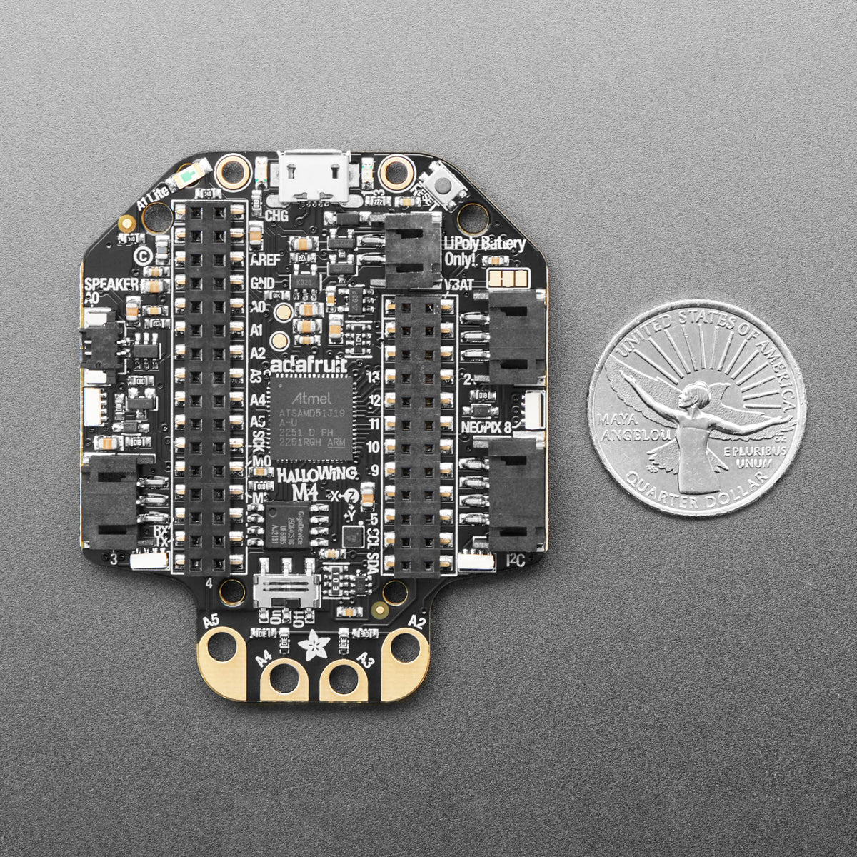 Adafruit HalloWing M4 Express - GOTH BLACK HALLOWEEN EDITION! by Adafruit - The Pi Hut