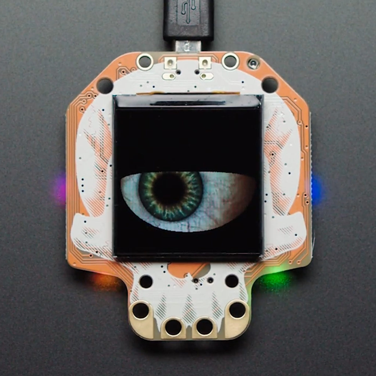 Adafruit HalloWing M4 Express - GOTH BLACK HALLOWEEN EDITION! by Adafruit - The Pi Hut