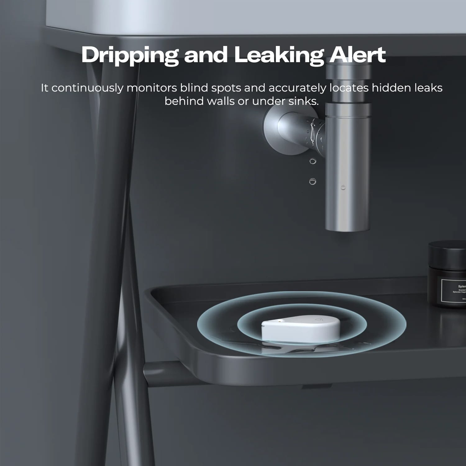 ThirdReality Zigbee Smart Water Leak Sensor WL2