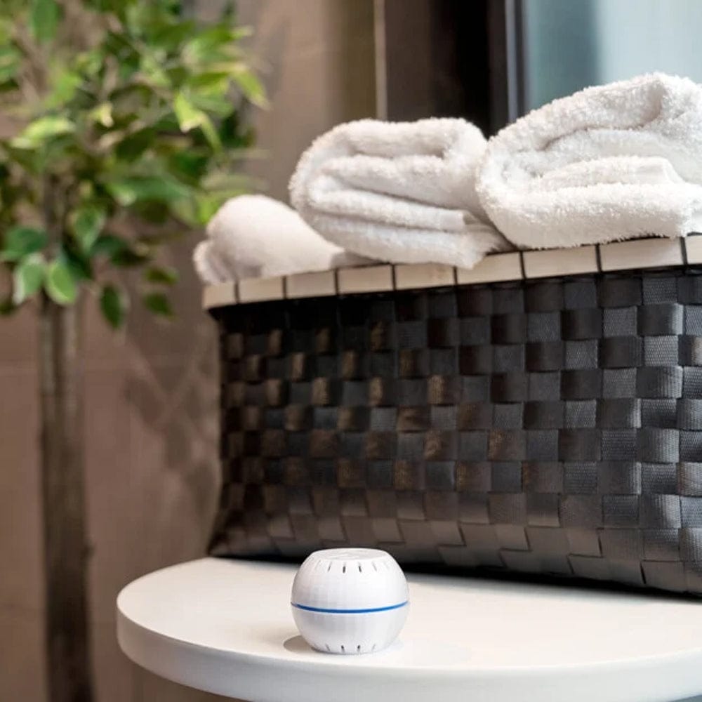 Shelly Wave H&T by Shelly - The Pi Hut