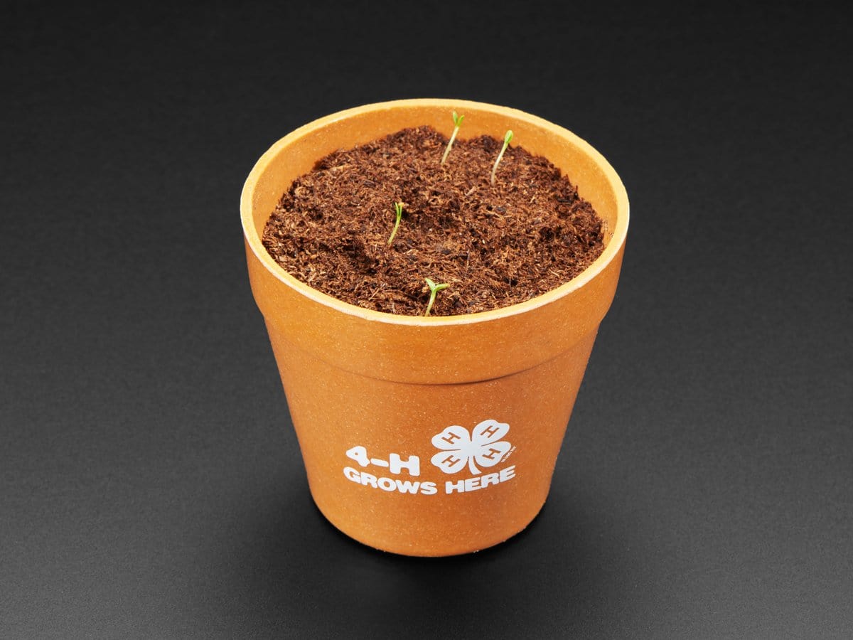 4-H Grow Your Own Clovers Kit with Circuit Playground Express (Soil Sensor Mini Kit) by The Pi Hut - The Pi Hut