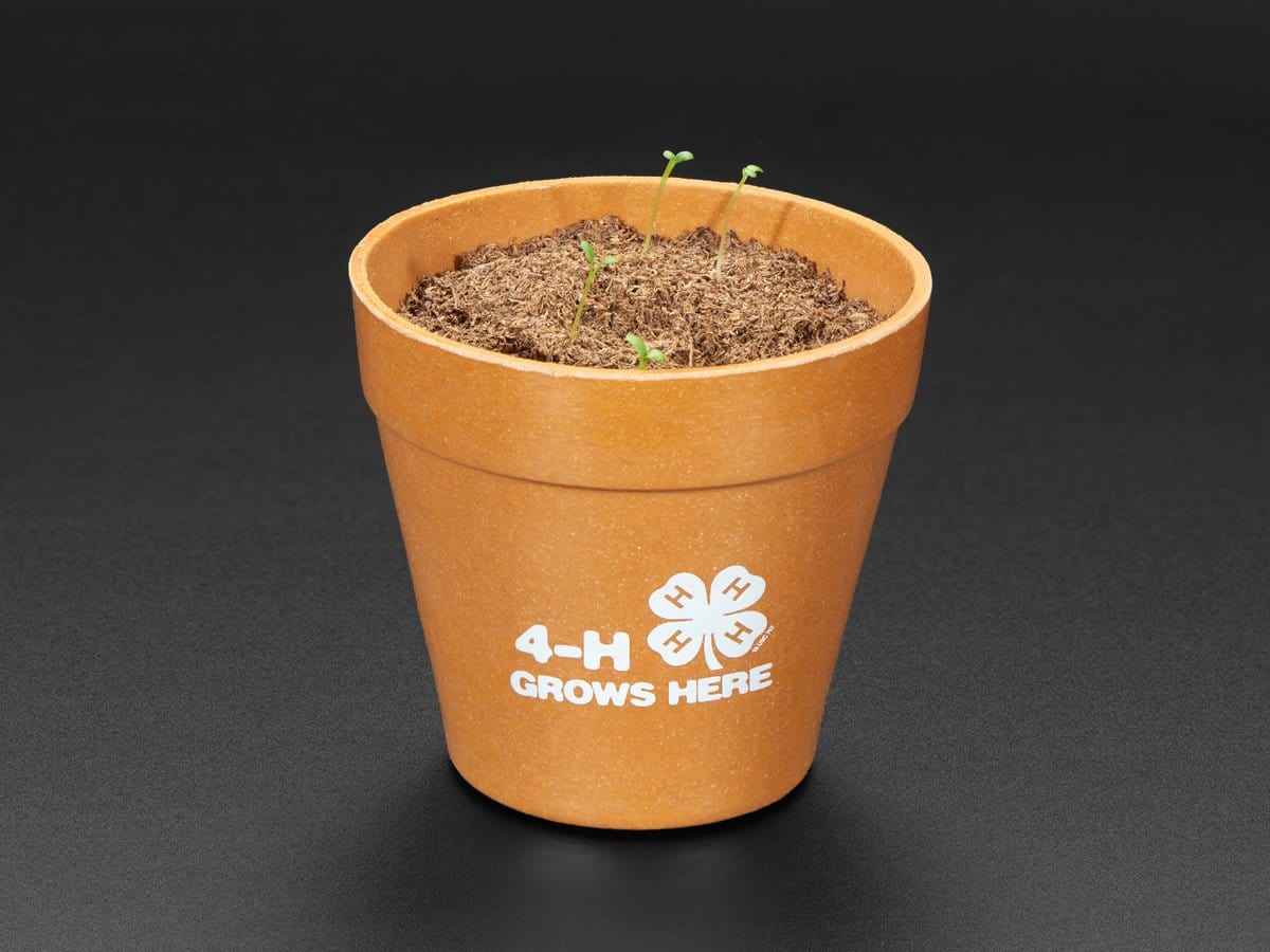4-H Grow Your Own Clovers Kit with Circuit Playground Express (Soil Sensor Mini Kit) by The Pi Hut - The Pi Hut