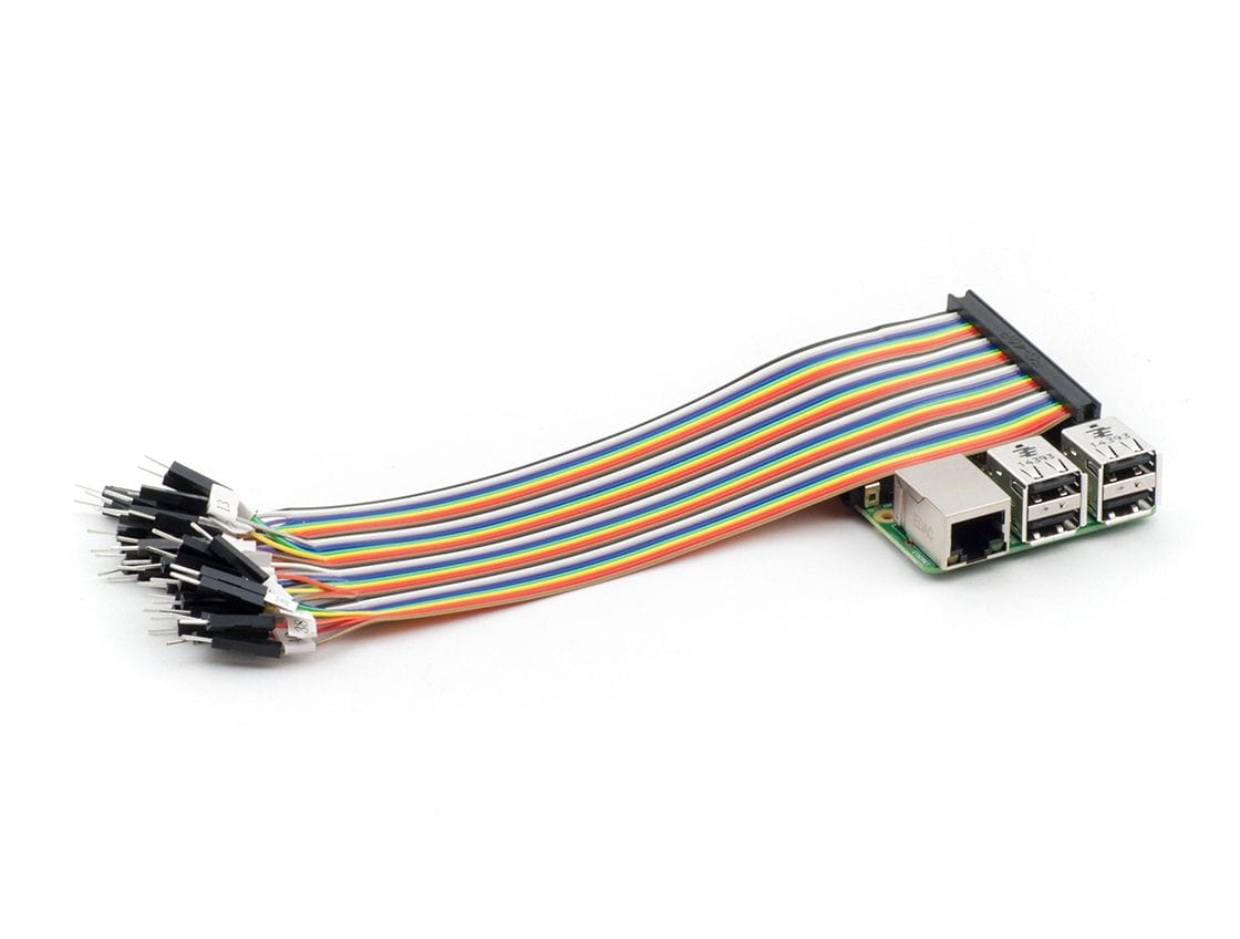 40-Pin GPIO Socket Connector to Male Labelled Pins - 200mm by The Pi Hut - The Pi Hut
