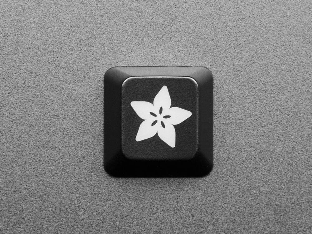 Adafruit Etched R4 Keycap for MX Compatible Switches by Adafruit - The Pi Hut