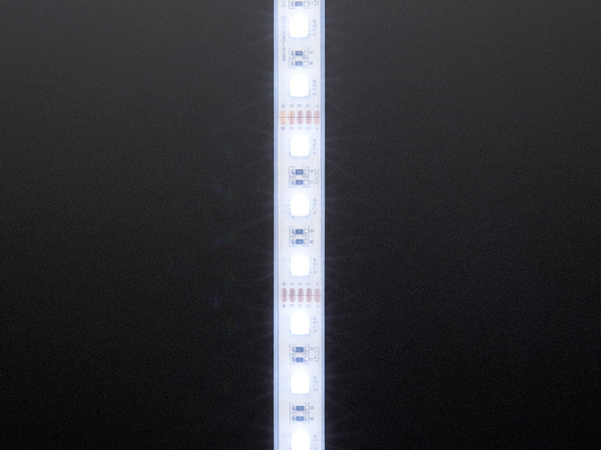 Analog RGBW LED Strip - RGB plus Cool White - 60 LED/m (~6000K) by Adafruit - The Pi Hut