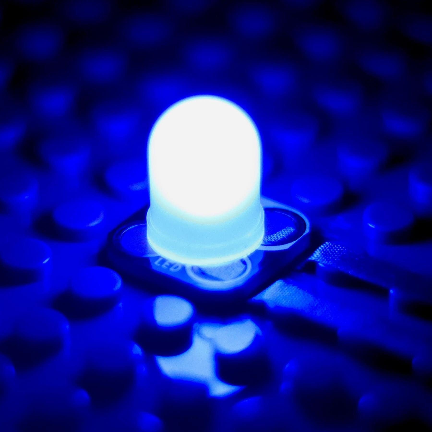 Blue Jumbo Diffused LED Chip by Brown Dog Gadgets - The Pi Hut