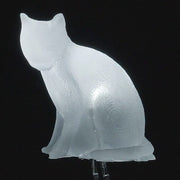 dLUX-dLITE Cool White Kitty Shape LEDs (5 Pack) - The Pi Hut