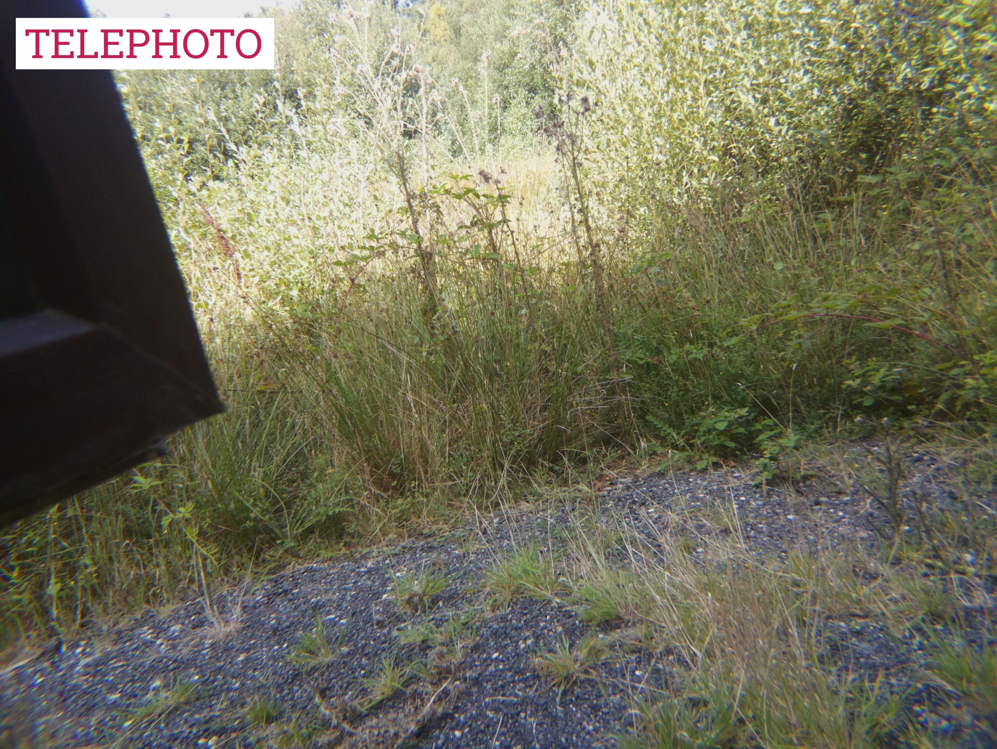 Magnetic Telephoto 2x Lens by ModMyPi - The Pi Hut