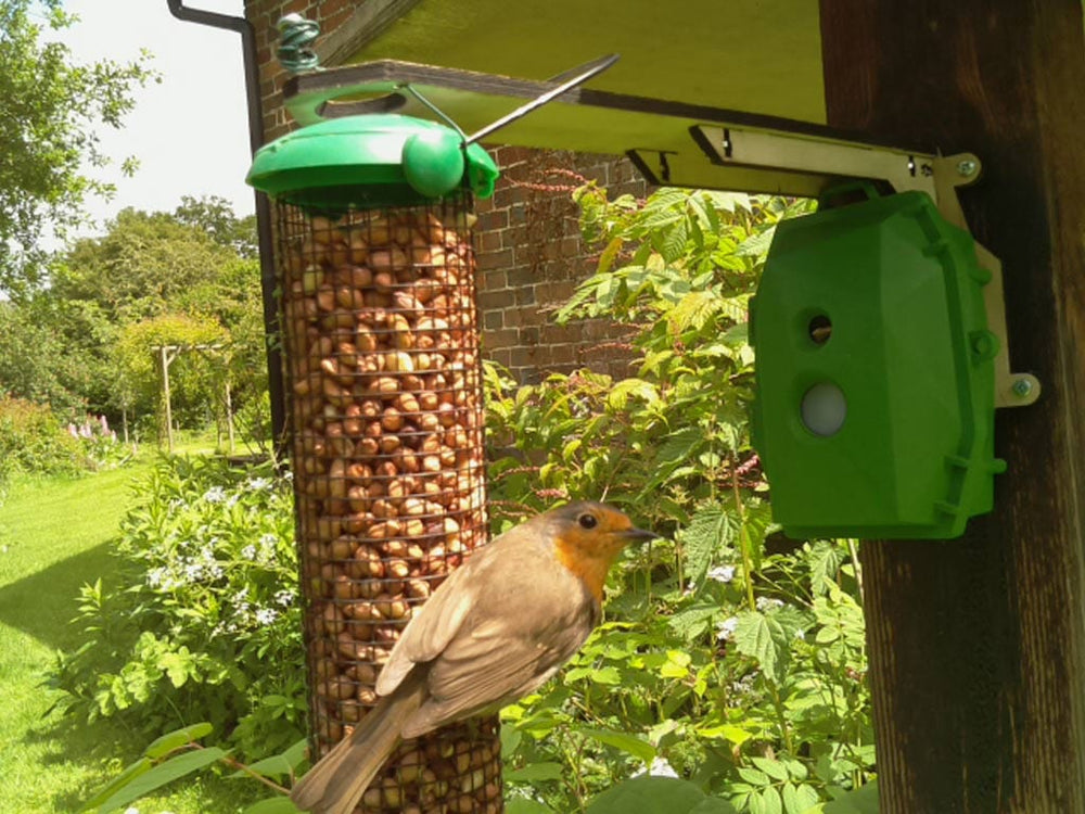 Naturebytes Wildlife Camera Kit by NatureBytes - The Pi Hut
