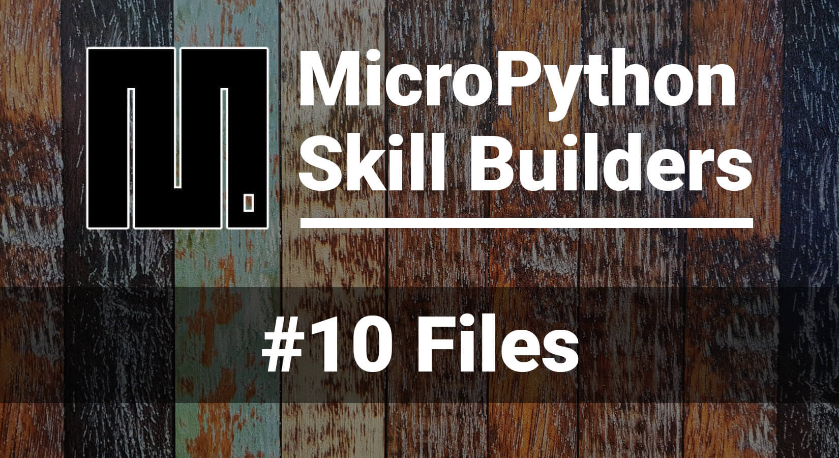 MicroPython Skill Builders - #10 Files