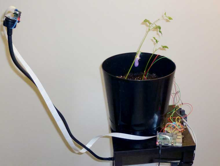 Raspberry Pi Roundup - an auto-plant-watering system, an award for RPi, a new Python editor and BEER!