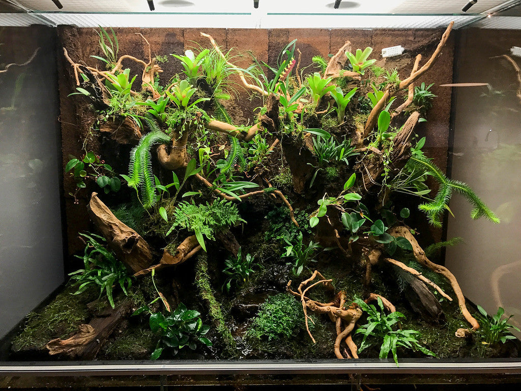 Raspberry Pi Roundup - a terrarium, Zero audio output and a SenseHAT-driven Battleships game