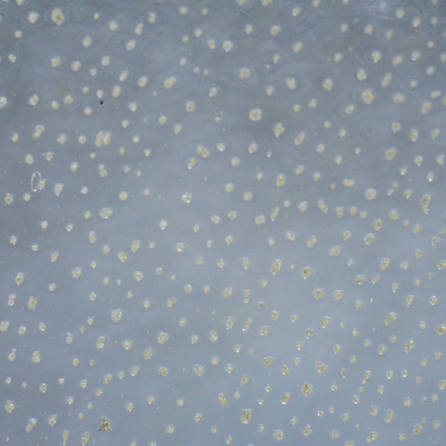 3M Z-Axis Conductive Tape 9703 - (50mm x 150mm) Strip by Adafruit - The Pi Hut