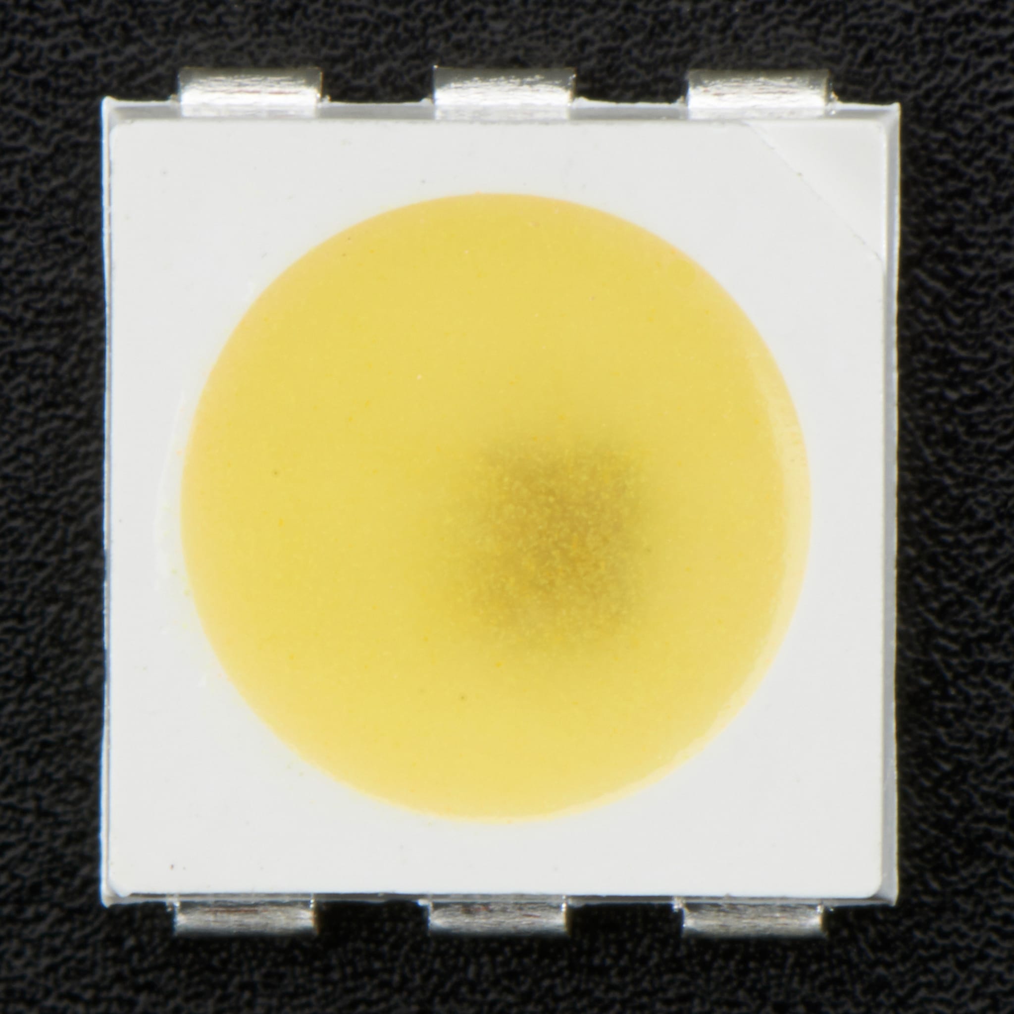 5050 Cool White LED w/ Integrated Driver Chip - 10 Pack (~6000K) by Adafruit - The Pi Hut