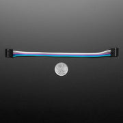 6-Conductor 0.1" Socket-Socket Cable (6" long) by Adafruit - The Pi Hut