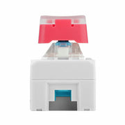 Chain Dual Key with ESP32-S3 by M5Stack - The Pi Hut