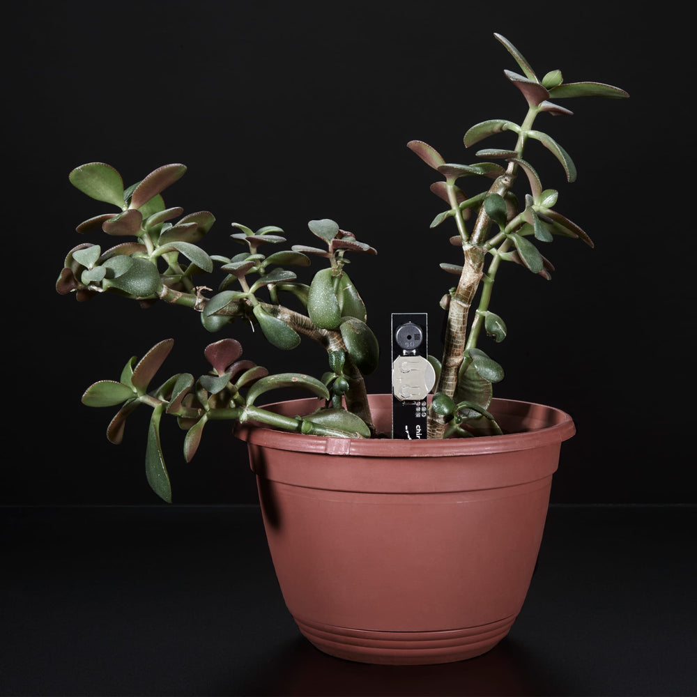 Chirp! The Plant Watering Alarm by Adafruit - The Pi Hut