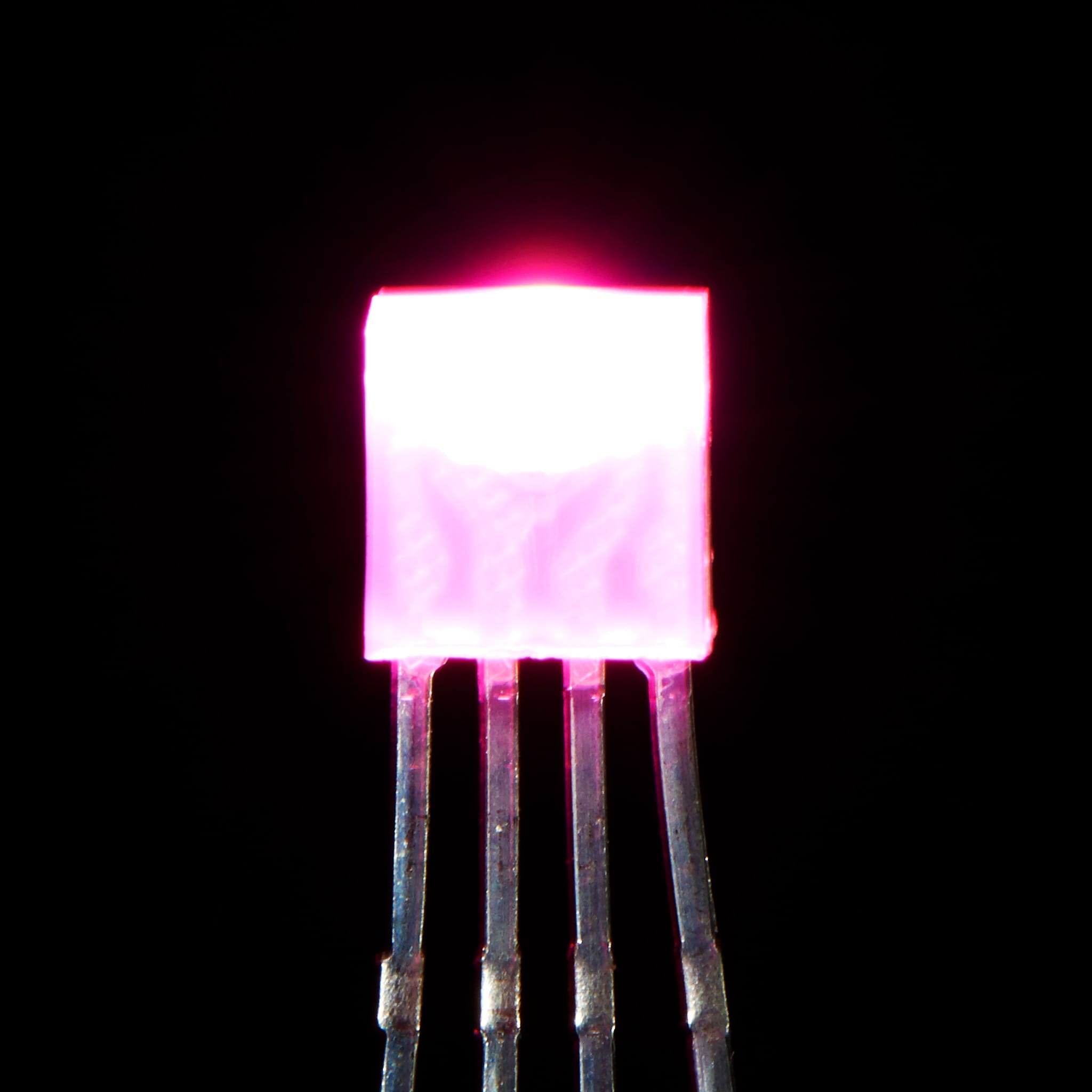Diffused Rectangular 5mm RGB LEDs - Pack of 10 by Adafruit - The Pi Hut