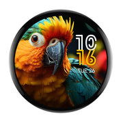 ESP32-S3 1.75" AMOLED Round Touch Display Dev Board (466x466) by Waveshare - The Pi Hut