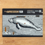 Inky Impression 4.0" by Pimoroni - The Pi Hut