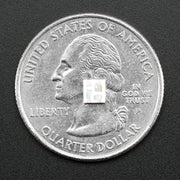 NeoPixel Mini 3535 RGB LEDs w/ Integrated Driver Chip - White (Pack of 10) by Adafruit - The Pi Hut