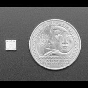 NeoPixel Warm White LED w/ Integrated Driver Chip - 10 Pack (~3000K) by Adafruit - The Pi Hut