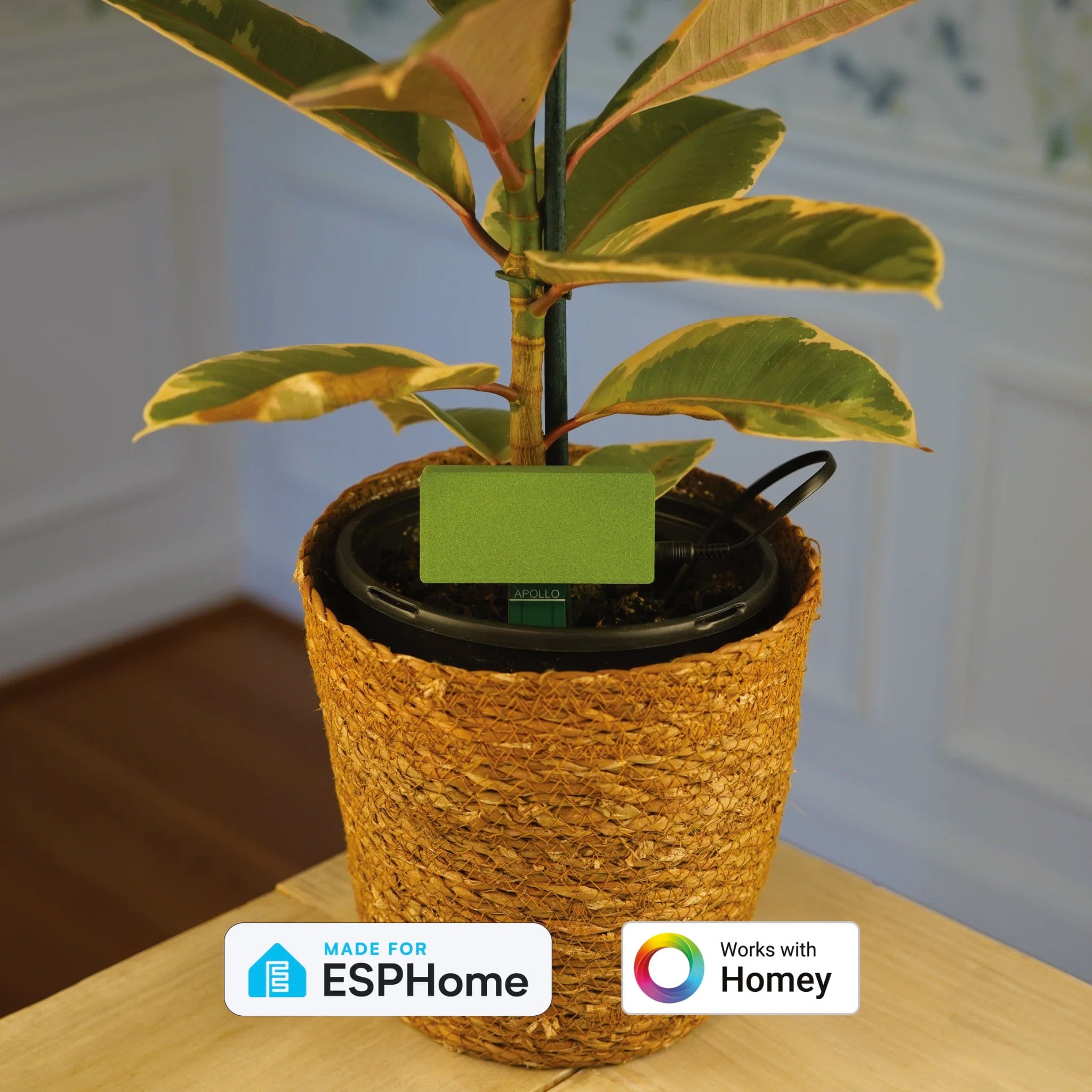 PLT-1 Ultimate Plant Sensor
