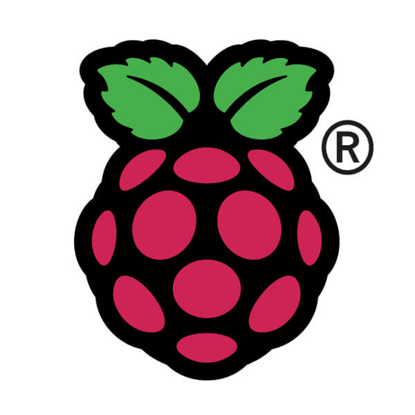 Raspberry Pi Logo