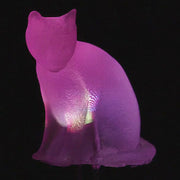 dLUX-dLITE RGB Rainbow Cat Shape LEDs (3 Pack) - The Pi Hut