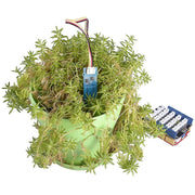 Grove - Capacitive Soil Moisture Sensor - The Pi Hut